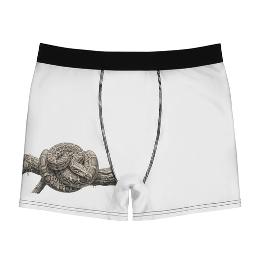 Men's Boxer Briefs (AOP)