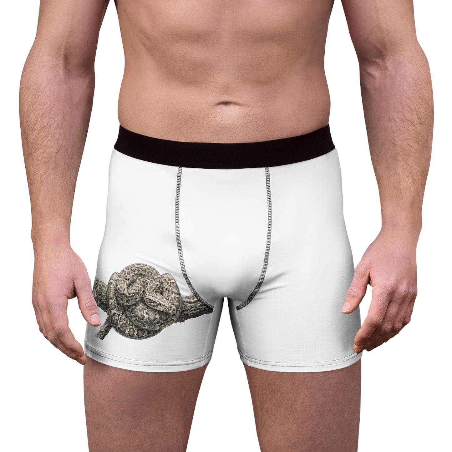 Men's Boxer Briefs (AOP)