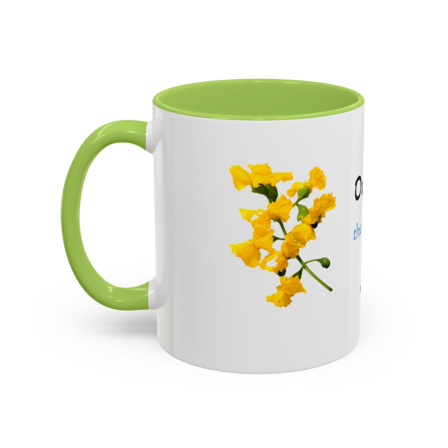 Accent Coffee Mug (11, 15oz)