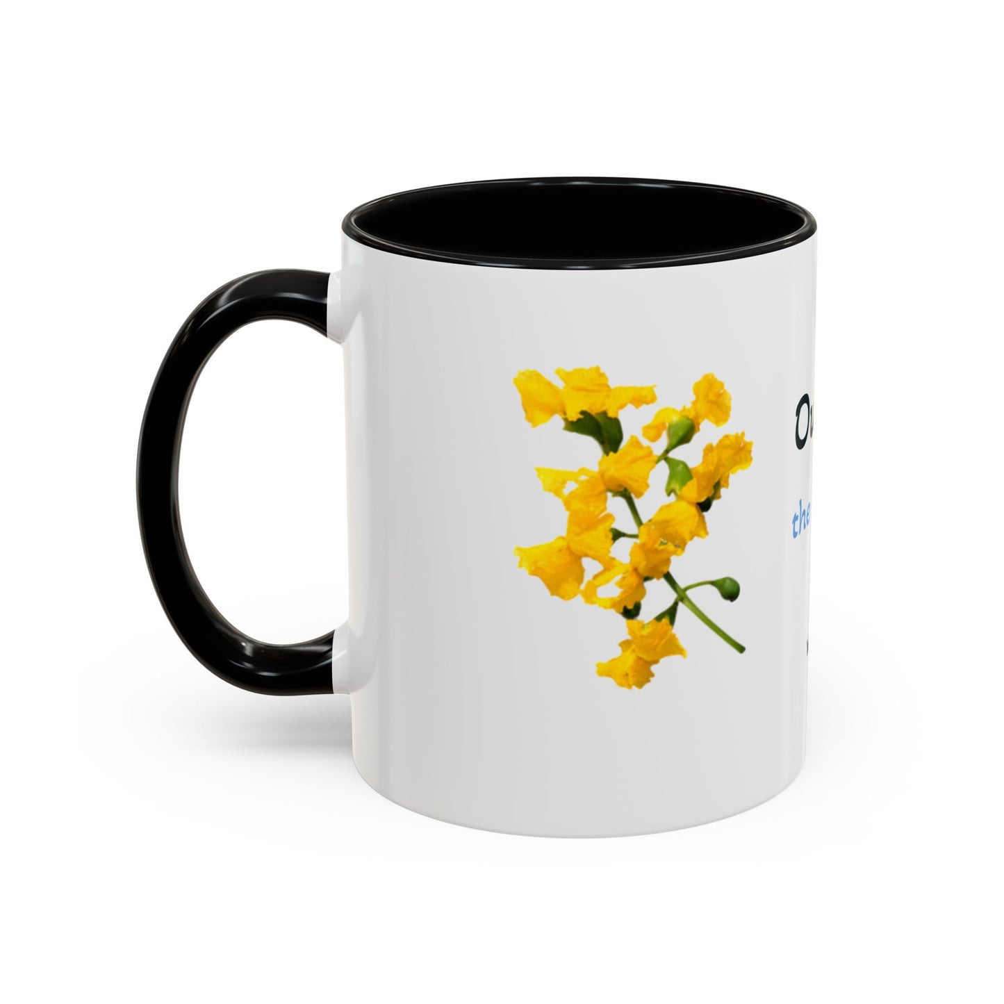 Accent Coffee Mug (11, 15oz)
